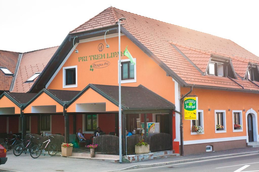 Guest House Pri Treh Lipah Ptuj Exterior foto